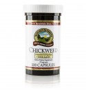 Chickweed (100 Caps)