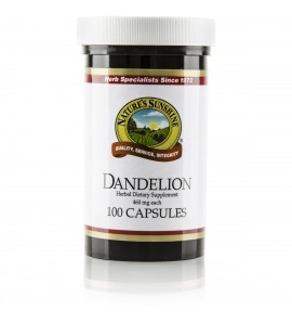 Dandelion (100 Caps) Dandelion (100 Caps)