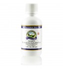 Echinacea/Golden Seal Liquid (2 fl. oz.)