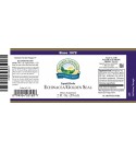 Echinacea/Golden Seal Liquid (2 fl. oz.) label