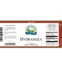 Hydrangea (100 Caps) label