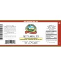 Astragalus (100 Caps) label