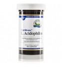 Acidophilus Probiotics (90 Caps)