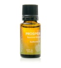 PROSPER Success Essential Oil Blend (15 ml)