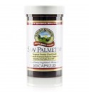 Saw Palmetto (100 Caps)